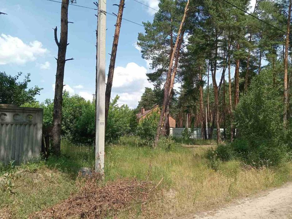 Чудова ділянка 10 соток біля лісу провулок Радистів Биківня Лісова! - View 4