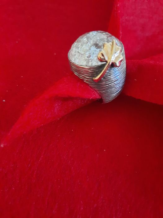 Aneis e brincos Marca Pekan