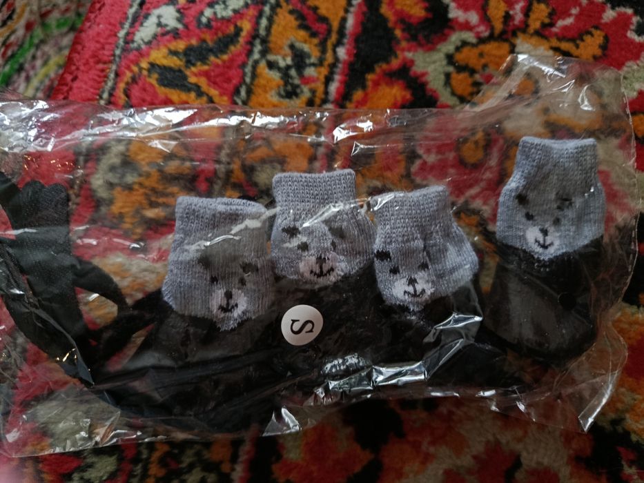 Взуття для маленької собачки