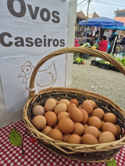 Ovos Caseiros BIO de poedeira do Campo