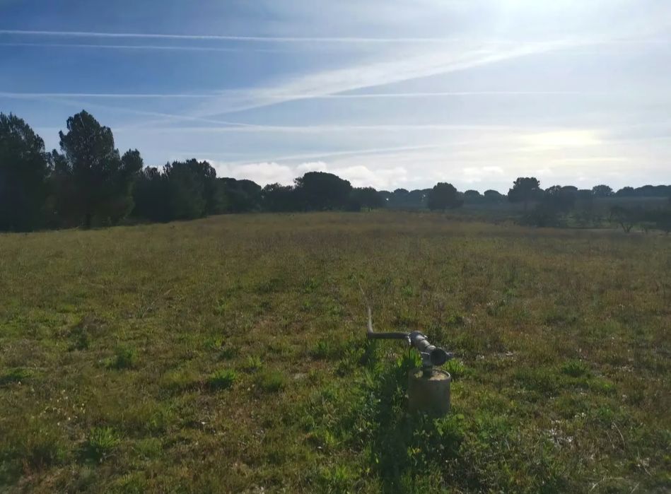 Terreno Gâmbia-Pontes-Alto da Guerra