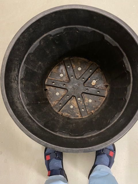 recipiente para plantas grandes