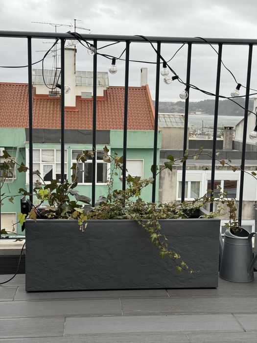 Dois vasos Amazon exterior