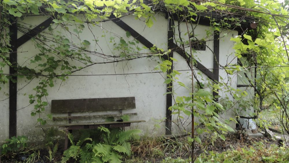Sprzedam prawo do ogrodu działkowego - Zabornia 3km od Centrum Gdańska