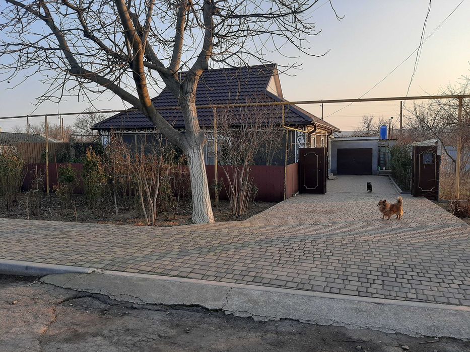 Продам будинок  з великою ділянкою землі в центрі  м. Березівка.