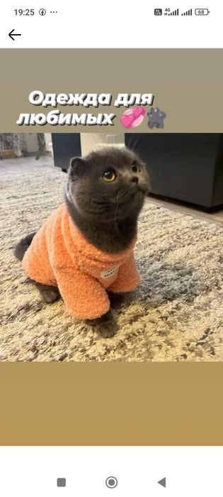 Плюшевые толстовки