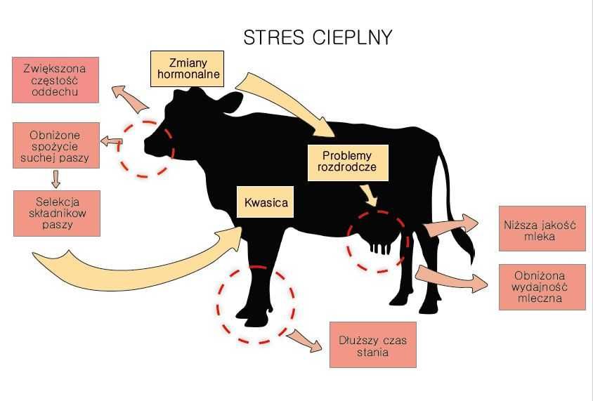 Wentylator oborowy Multifan - mieszacz powietrza koszowy , helikopter