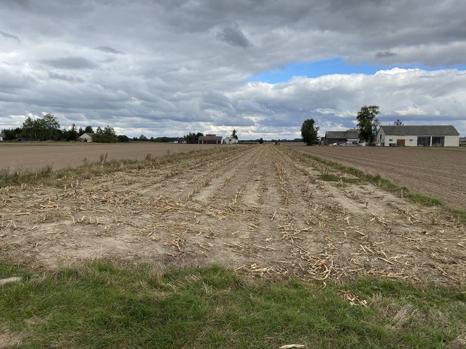 Działka 16 zł/metr asfalt, prąd, wodociąg