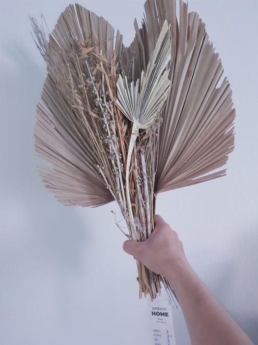 Nowe Suszone kwiaty dekoracja marki Pepco 4 sztuk