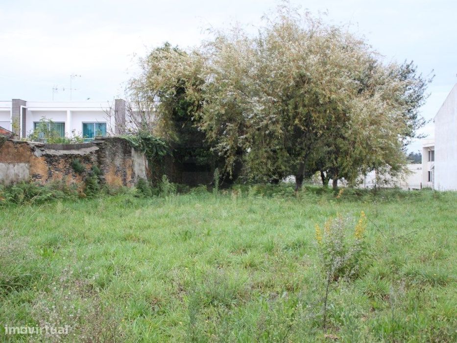 Terreno para venda junto á Escola Secundaria de Estarreja
