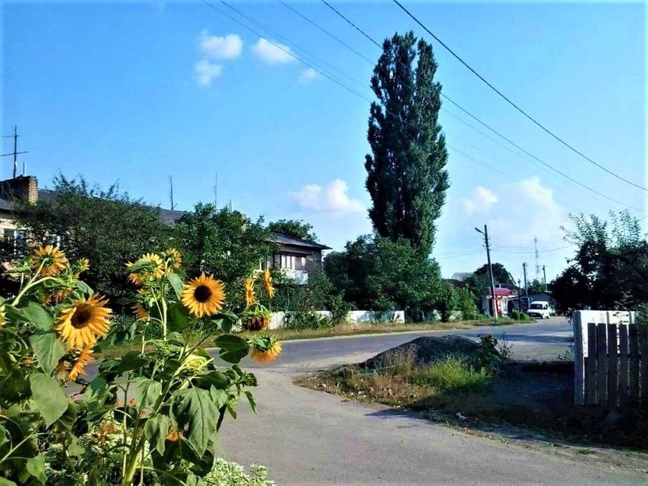 Продаж ділянки 20 с. Личанка Житомирська трасса Бучанський район