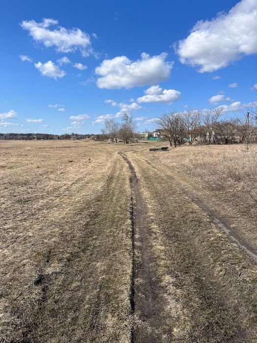 Земельна ділянка в с. Солониця