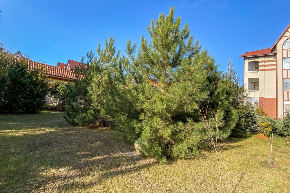 30% скидка , Последняя видовая 2х уровневая 154 м2  в ЖК Реннесанс