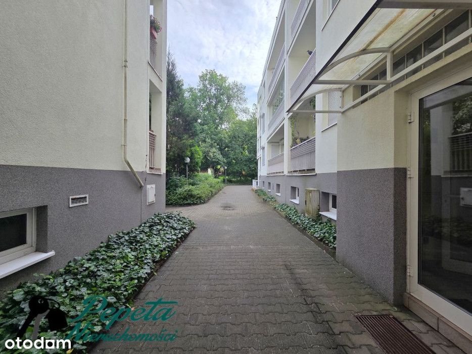 Dwupokojowe wśród zieleni - Grunwald. Duży taras! - Widok 4