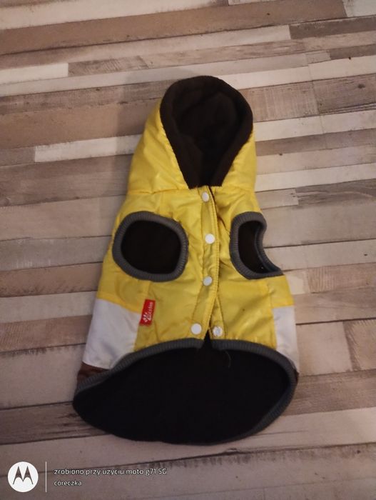 Kurtka z kapturem dla małego psa
