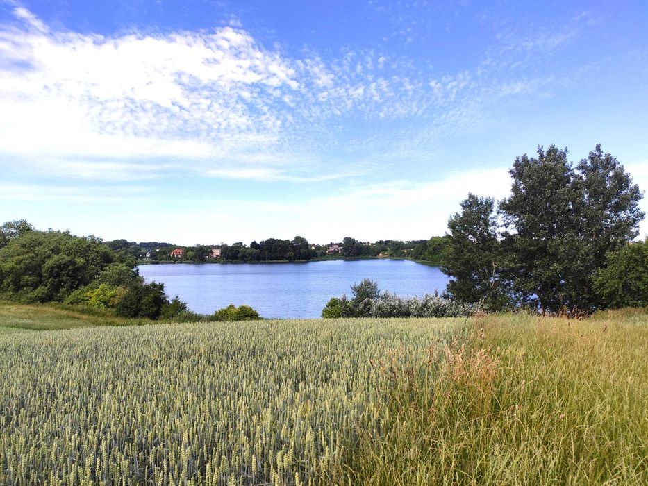 Działka 50 m od jeziora Ostrowickiego, pod budowę 4 domów. Widok na jezioro - Widok 5