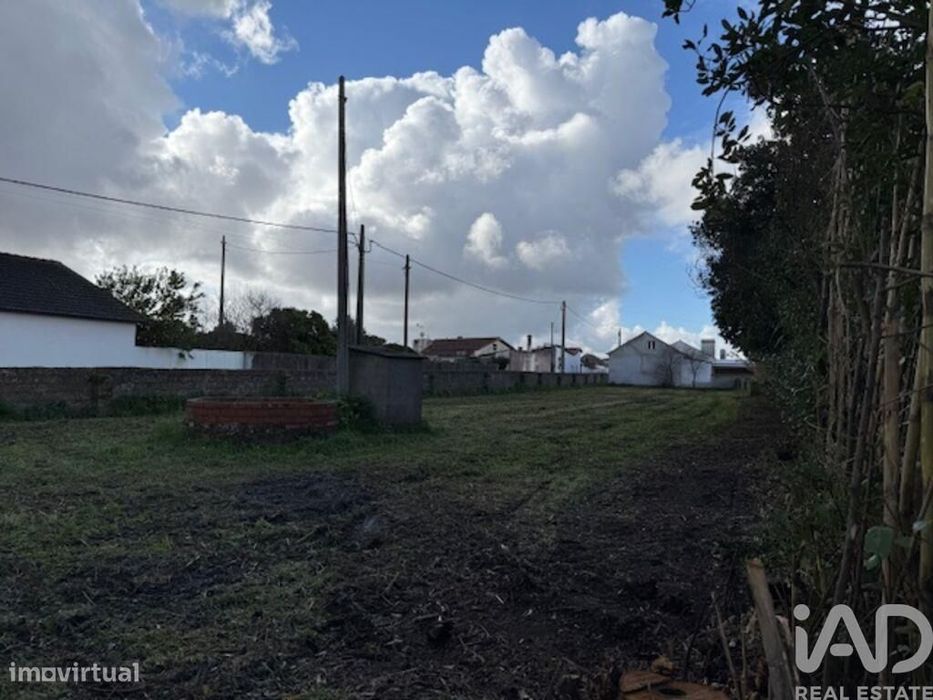 Terreno em Monte Real e Carvide