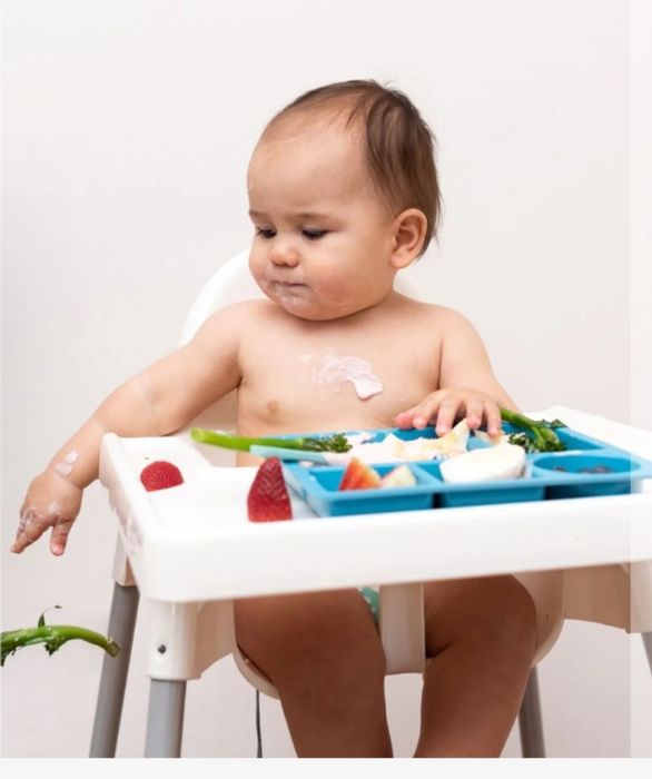 Prato com divisórias bobo&boo– Dolphin Blue