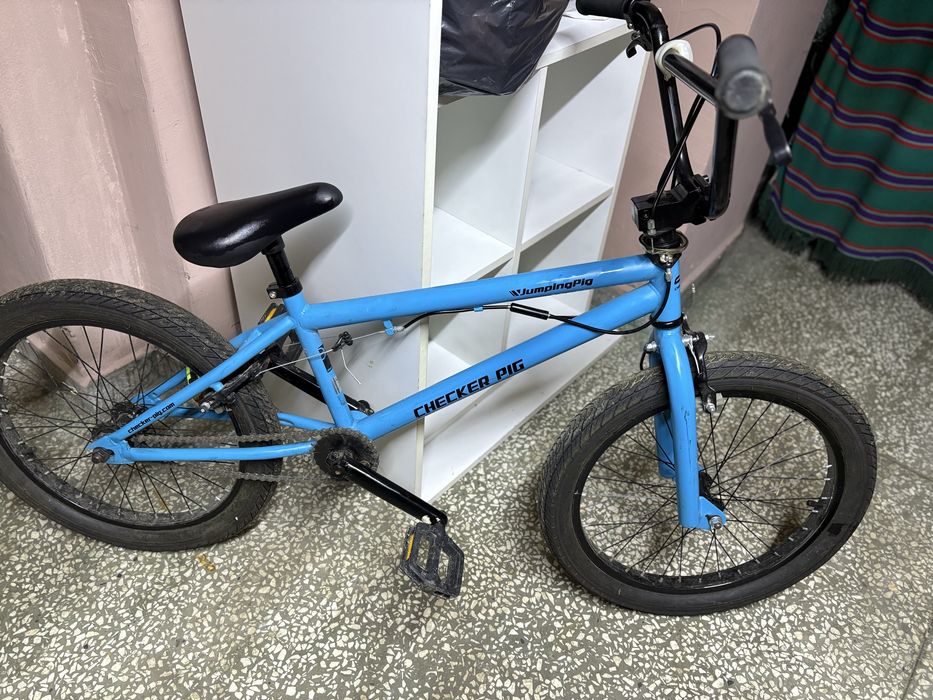 BMX CHecker Pig 20’