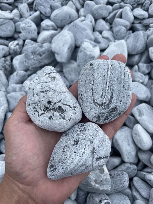 Szary Turecki Otoczak Kamień do Ogrodu Akwarium Terrarium Warszawa