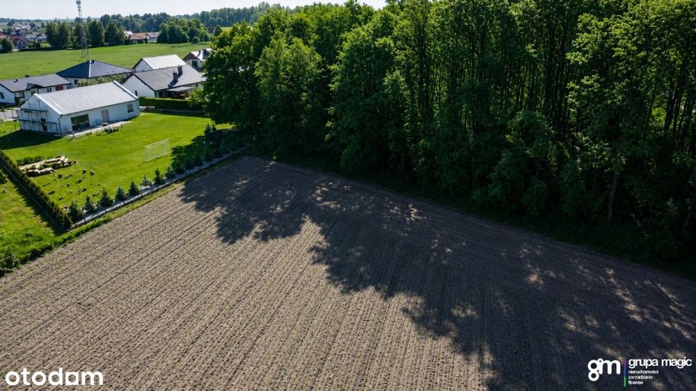 Działka 1425 m² przy lesie – Głogowo