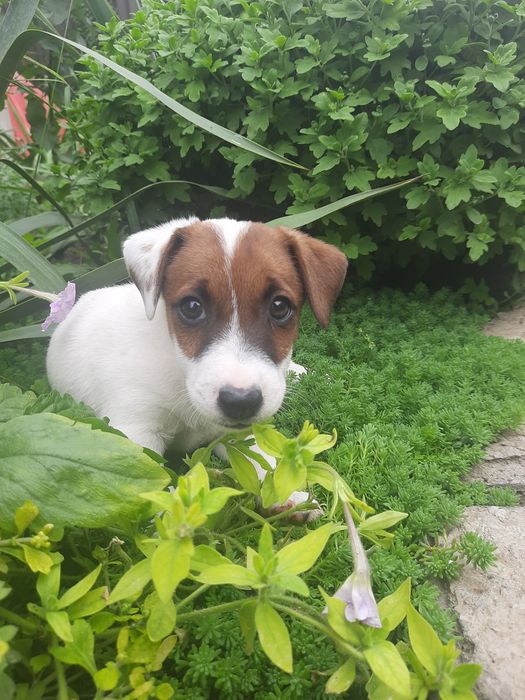 Очень красивый малыш