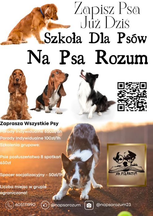 Behawiorysta  - szkolenie psów, spacery socjalizacyjne, porady