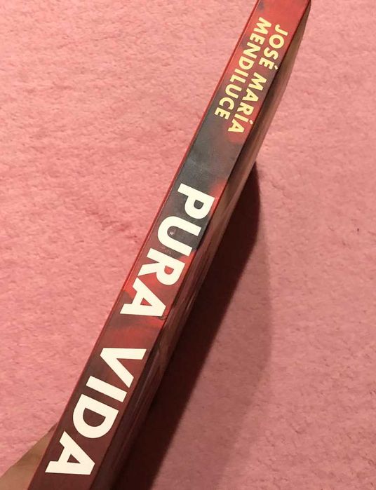 Pura vida de José María Mendiluce