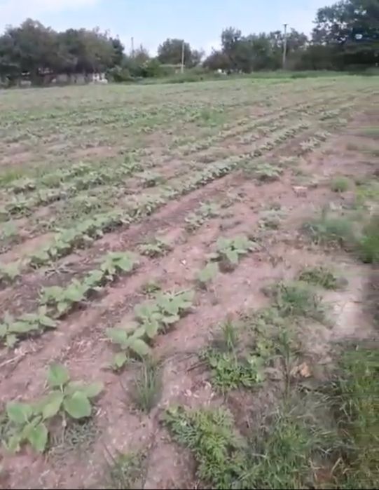 Продам земельну ділянку для будівництва