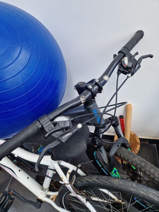 2 Bicicletas 1 BERG+1 MX