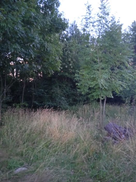 Husów 11 ar powiat łańcucki 4 Kl ziemi między domami 52800