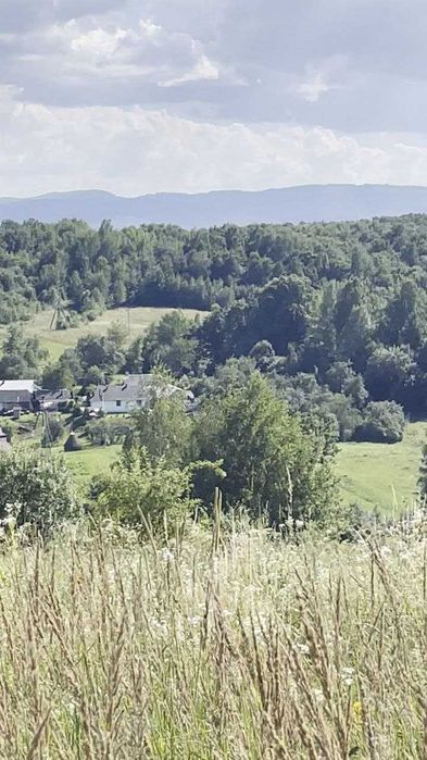 Продам земельну ділянку 25 сотих у с. Вербовець, Косівський р-н