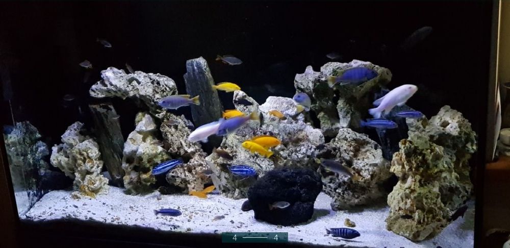 Wapień filipiński i serpentynit zielony