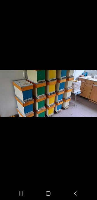 Ul Startery ramka wielkopolska