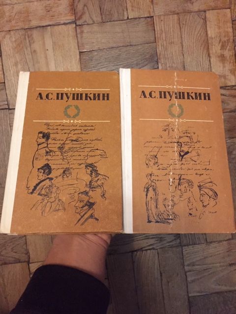 А.С. Пушкин. Избранные произведения в двух томах