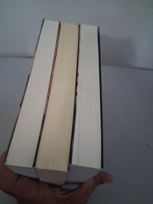 365 dias - saga livros