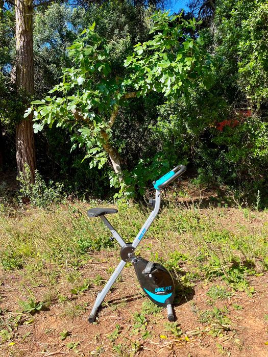 Bicicleta Estatística PRIXTON BF100