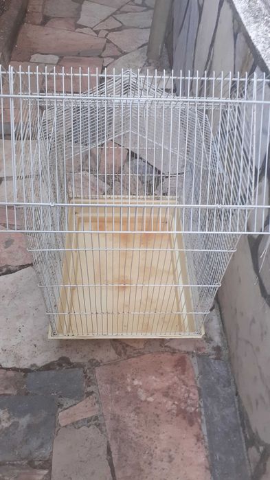 Gaiola grande branca