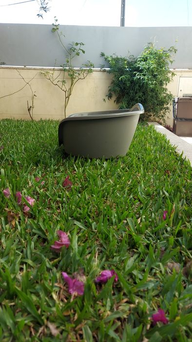 Cama cão pequeno em Pvc / Polipropileno resistente