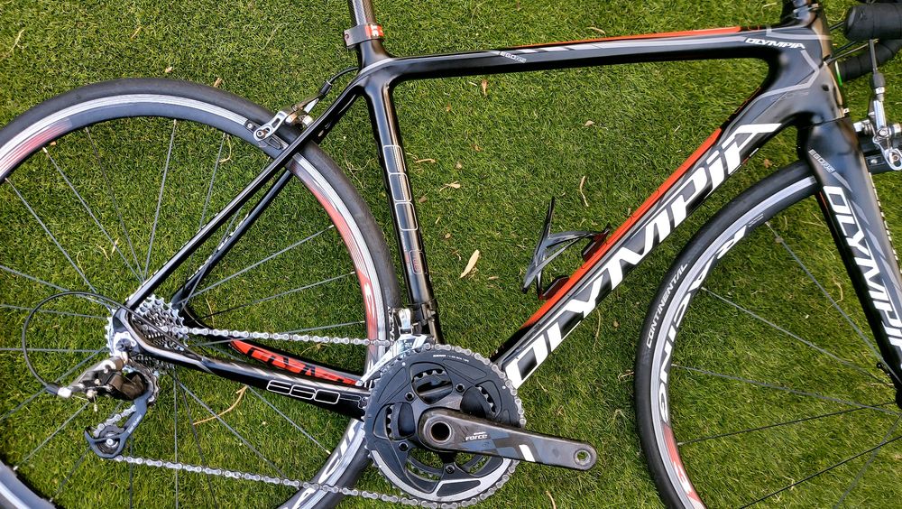 Olympia carbono t54