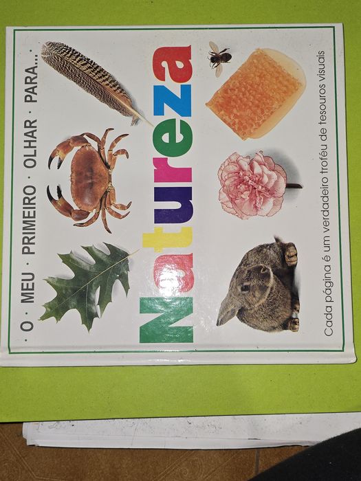 Conjunto variado de 4 livros para todos os gostos!