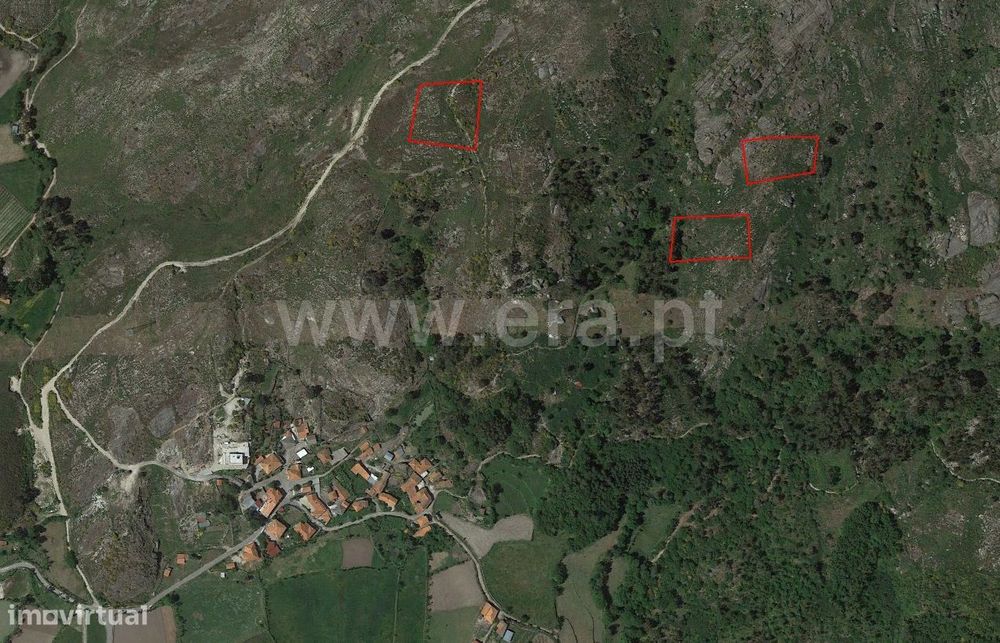 Terreno para plantações com 7.606 m2 em Queimadela