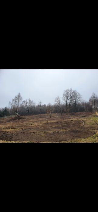 Koszenie kosiarką bijakową, Wycinka drzew, koszenie trawy