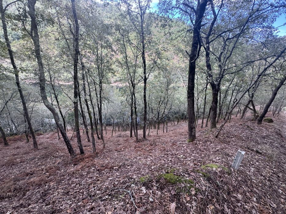 Terreno em Louredo, Vieira do Minho