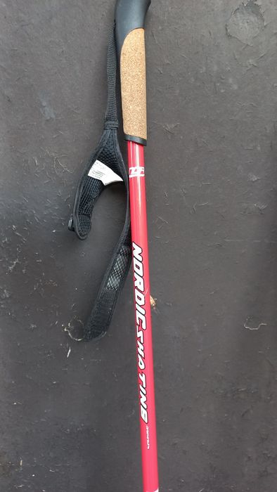 Kijki do nartorolek 165 cm