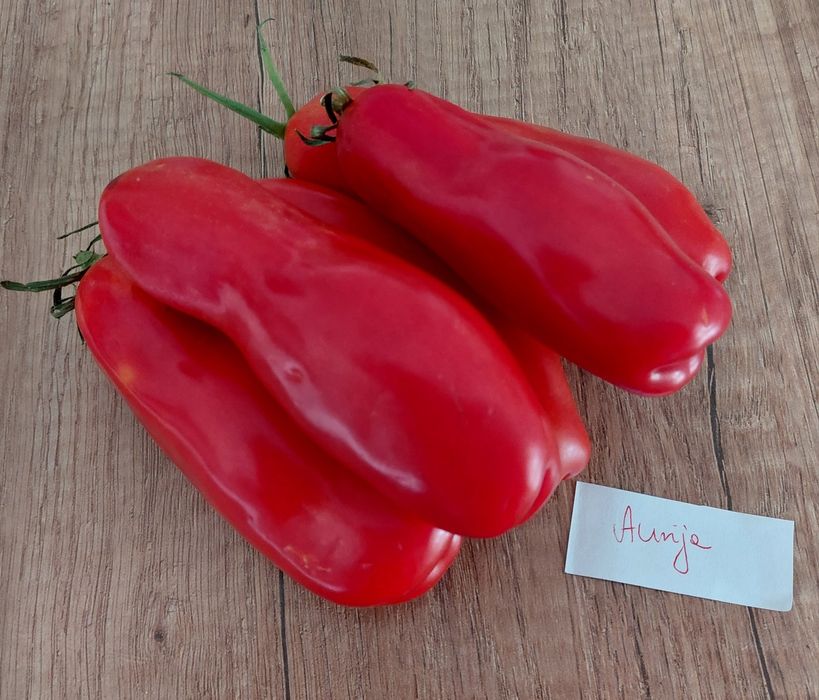 Nasiona kolekcjonerskie pomidorów,  papryk i innych warzyw.