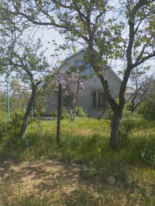 Будинок за адресою (площа 50 м²) - Atlanta.ua - фото 2