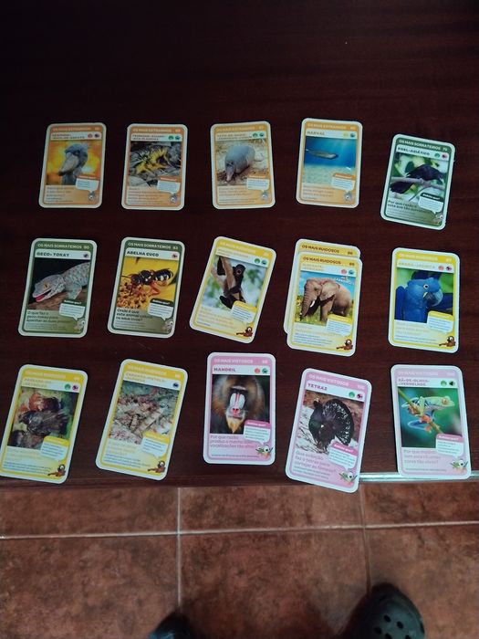 Super Animals       .64285003534210121