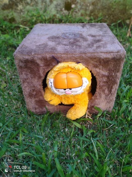 Garfield na sua casota