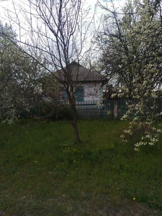 Будинок  газифікований  земельна ділянка 0,25 га с. Григоро-Бригадирівка